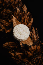 Mothais sur Feuille AOP