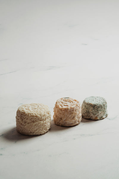 Crottin chèvres lait cru Deux-Sèvres 